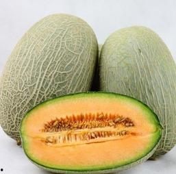 减肥水瓜怎么吃,水瓜减肥食谱,教你如何科学食用 第2张 减肥水瓜怎么吃,水瓜减肥食谱,教你如何科学食用 第2张